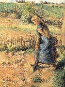 Camille Pissarro The collection of hay farmer USA oil painting artist
